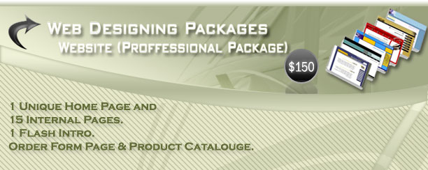 Website (Basic Package)