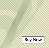 Website (Basic Package)